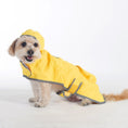 Load image into Gallery viewer, Pendleton Glacier National Park Waterproof Raincoat for Dogs
