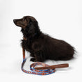 Load image into Gallery viewer, Pendleton Heritage Leash - Dog Leash - Mystic Lake - 3/4" x 6'
