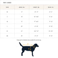 Load image into Gallery viewer, Pendleton Los Lunas Waterproof Raincoat for Dogs
