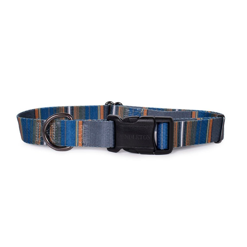 Pendleton National Park Adventure Collar - Dog Collar by Carolina Pet Co.