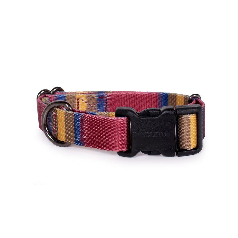 Pendleton National Park Adventure Collar - Dog Collar by Carolina Pet Co.