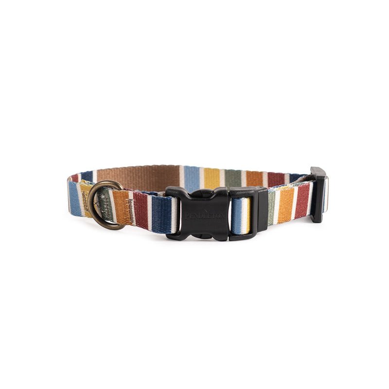 Pendleton National Park Adventure Collar - Dog Collar by Carolina Pet Co.
