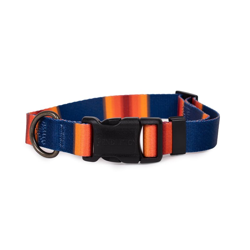 Pendleton National Park Adventure Collar - Dog Collar by Carolina Pet Co.