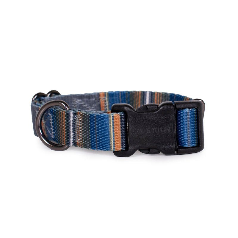 Pendleton National Park Adventure Collar - Dog Collar by Carolina Pet Co.