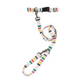 Load image into Gallery viewer, Pendleton National Park Adventure Collar - Dog Collar
