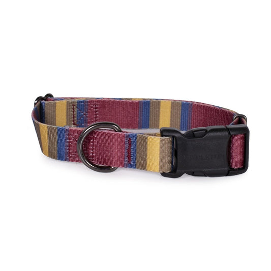 Pendleton National Park Adventure Collar - Dog Collar
