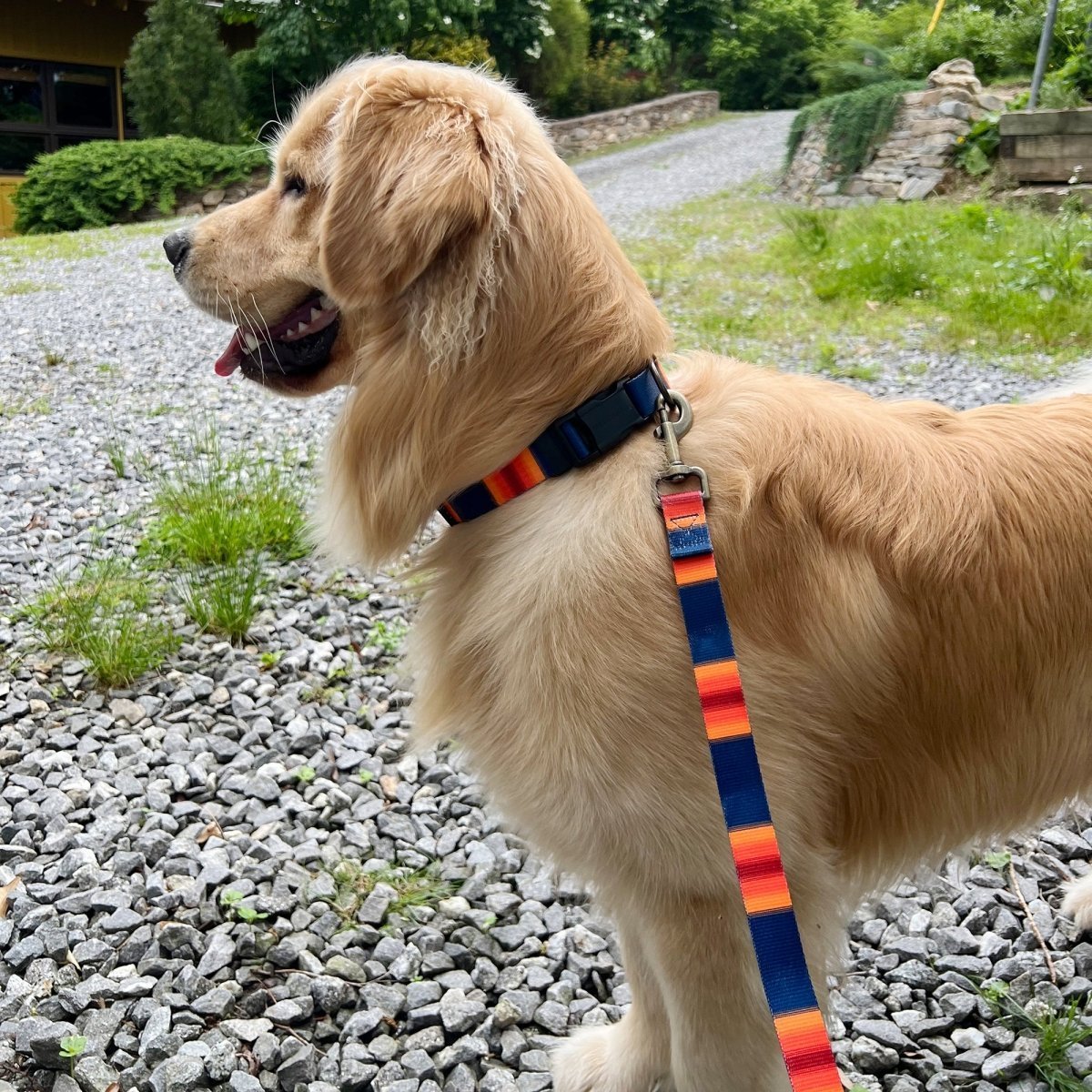 Pendleton National Park Adventure Collar - Dog Collar