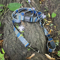 Load image into Gallery viewer, Pendleton National Park Adventure Collar - Dog Collar
