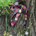 Load image into Gallery viewer, Pendleton National Park Adventure Collar - Dog Collar
