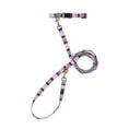 Load image into Gallery viewer, Pendleton National Park Adventure Collar - Dog Collar
