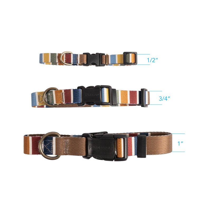 Pendleton National Park Adventure Collar - Dog Collar