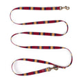 Load image into Gallery viewer, Pendleton National Park Adventure Leash - Dog Leash
