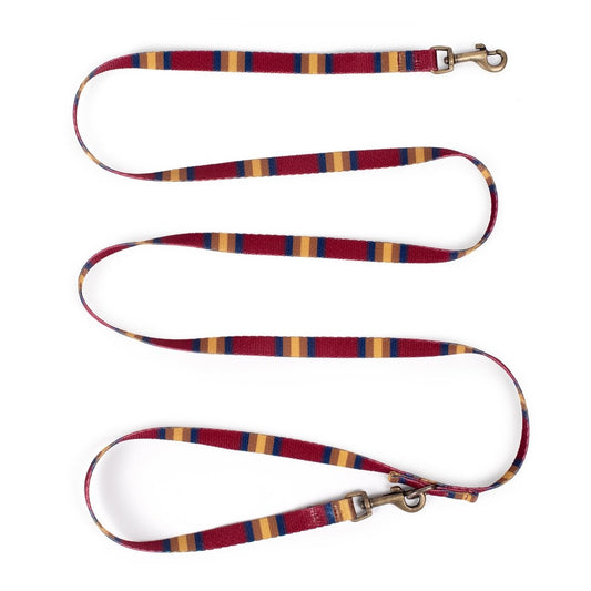 Pendleton National Park Adventure Leash - Dog Leash