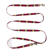 Pendleton National Park Adventure Leash 