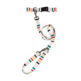 Load image into Gallery viewer, Pendleton National Park Adventure Leash - Dog Leash
