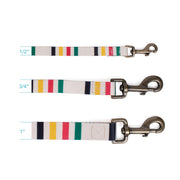 Pendleton National Park Adventure Leash 