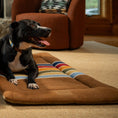 Load image into Gallery viewer, Pendleton National Park Comfort Cushion - Dog Bed Cushion
