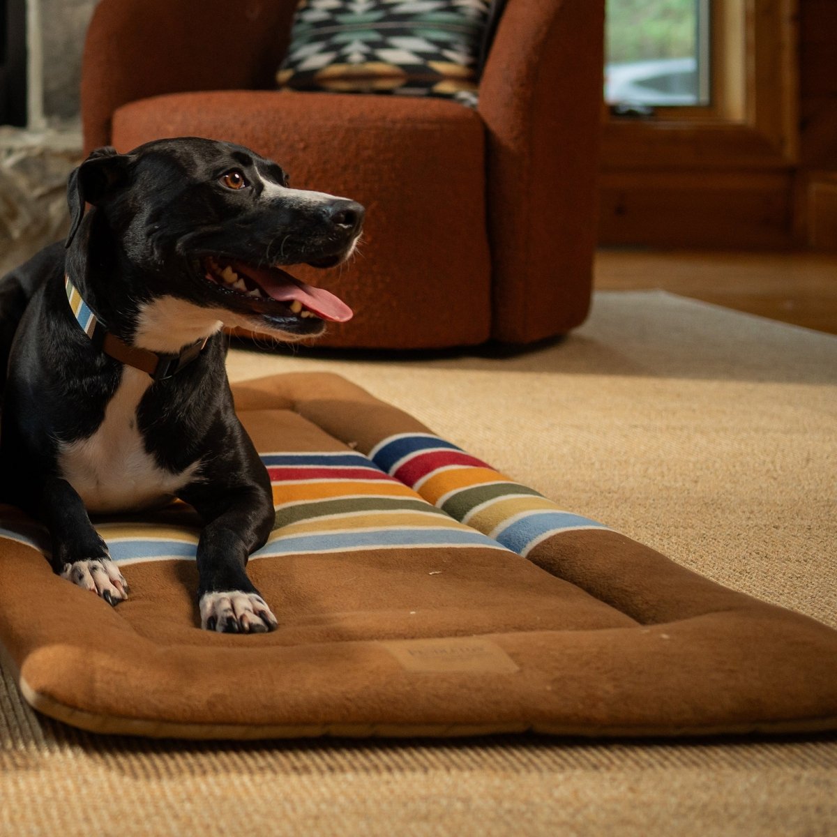 Pendleton National Park Comfort Cushion - Dog Bed Cushion