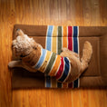 Load image into Gallery viewer, Pendleton National Park Comfort Cushion - Dog Bed Cushion - Joshua Tree - Small
