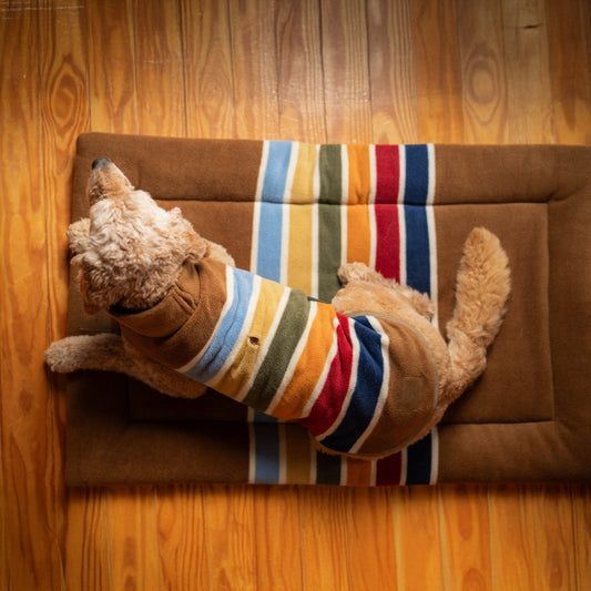 Pendleton National Park Comfort Cushion - Dog Bed Cushion - Joshua Tree - Small