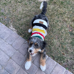 Pendleton National Park Dog Vest