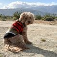 Load image into Gallery viewer, Pendleton National Park Dog Vest
