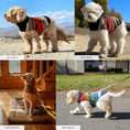 Load image into Gallery viewer, Pendleton National Park Dog Vest
