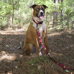 Pendleton National Park Hiker Collar