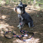 Pendleton National Park Hiker Collar
