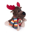 Load image into Gallery viewer, Pendleton National Park Pa - Dog Squeak Toy
