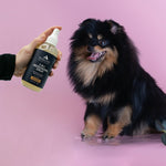 Pendleton Pet 3 in 1 Deodorizer