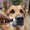 Load image into Gallery viewer, Pendleton Pet Nose Balm
