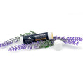 Load image into Gallery viewer, Pendleton Pet Nose Balm - Nose Balm Stick
