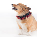 Pendleton Plaid Jingle Holiday Collar
