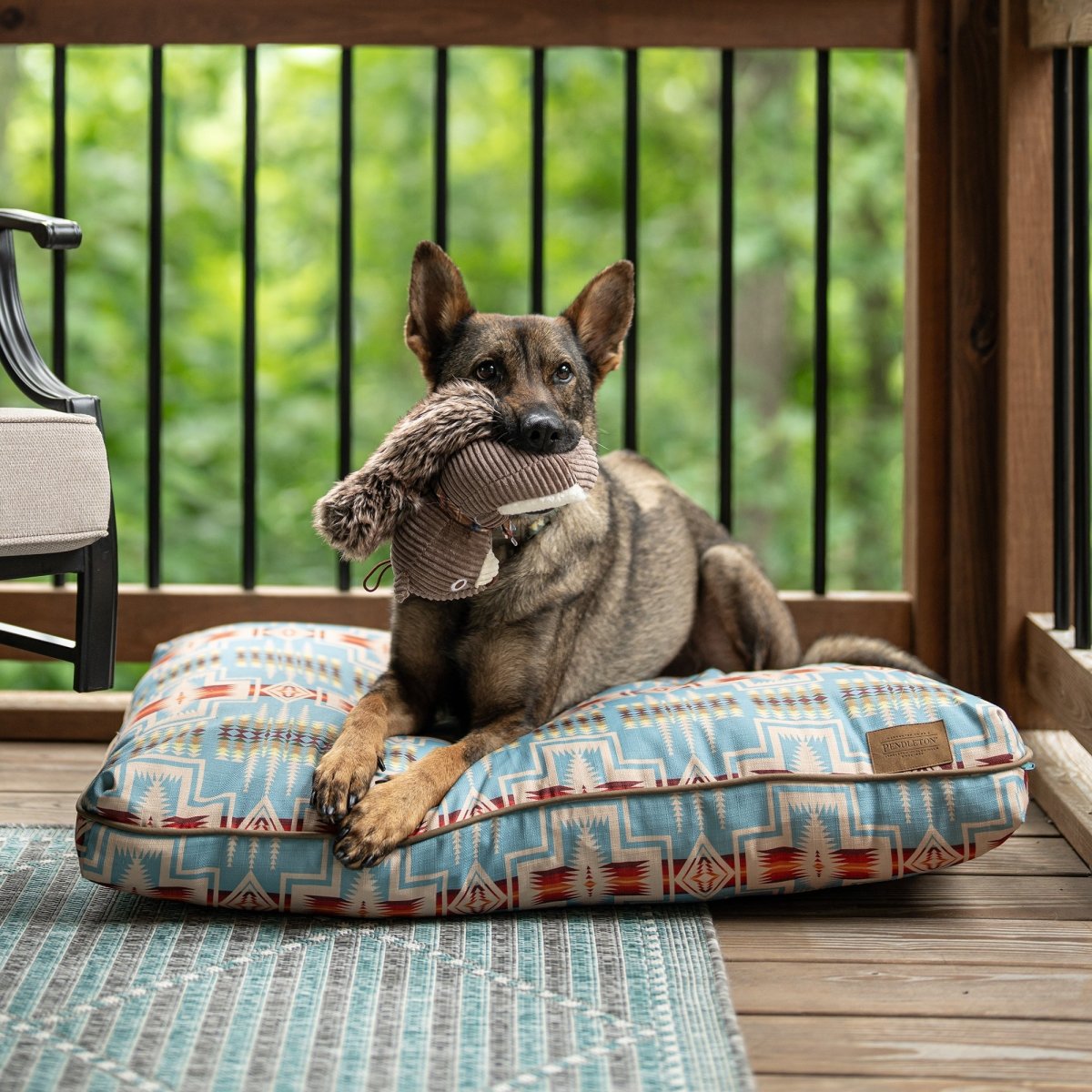 Pendleton Plush Squirrel Toy - Plush Dog Toy