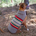 Load image into Gallery viewer, Pendleton Vintage Camp Dog Coat
