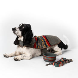 Pendleton Vintage Camp Dog Coat