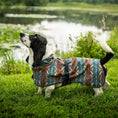 Load image into Gallery viewer, Pendleton Waterproof Adventure Pet Coat - Waterproof Dog Raincoat
