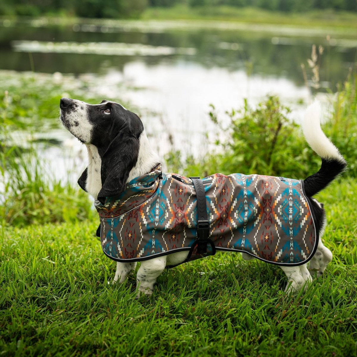 Pendleton Waterproof Adventure Pet Coat - Waterproof Dog Raincoat