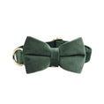 Load image into Gallery viewer, Velvet Forest Teal Set
