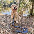 Load image into Gallery viewer, Pet Leash- Checkered Wave
