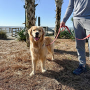 Pet Leash- Checkered Wave