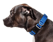 Pet Life ®  'Aero Mesh' Dual-Sided Breathable and Adjustable Thick Mesh Dog Collar