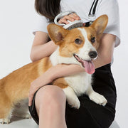 Pet Life ® 'Gyrater' Travel Swivel Pet Grooming Pin Brush