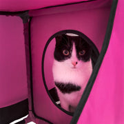 Pet Life ® 'Kitty-Play' Collapsible Travel Interactive Kitty Cat Tree Maze House Lounger Tunnel Lounge
