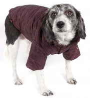Pet Life ® Lightweight Adjustable and Collapsible 'Sporty Avalanche' Dog Coat w/ Pop-out Zippered Hood