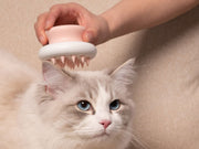 Pet Life ® 'Scwubba' Handheld Bathing Brushing and Massaging Soft Flexible Grooming Pet Comb