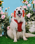 Load image into Gallery viewer, Petite Bow Clips - Cherry
