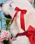 Load image into Gallery viewer, Petite Bow Clips - Cherry
