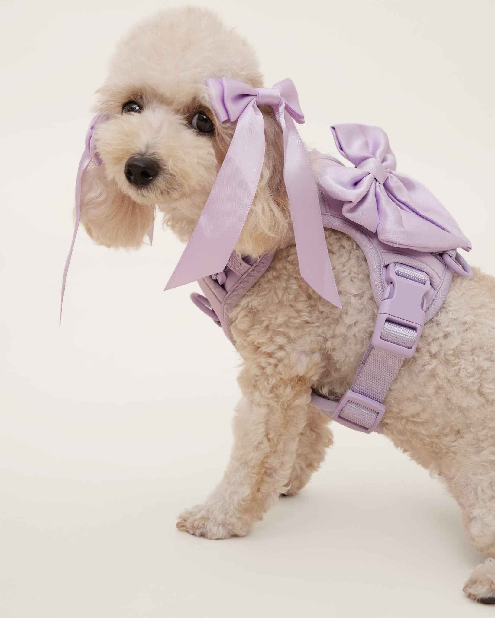 Petite Bow Clips - Lilac